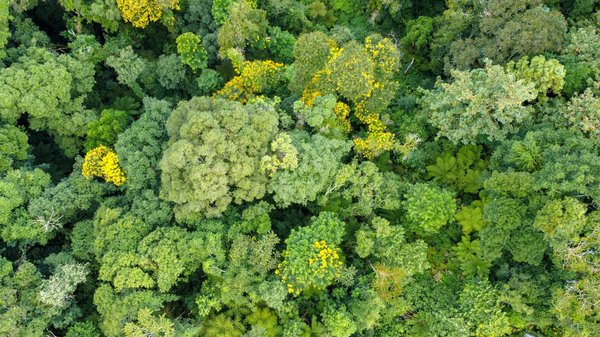 Explorez les techniques controversées du seo black hat